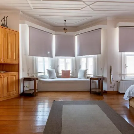 Spacious Single Detached House With Terrace - Near To Hagia Sophia 别墅