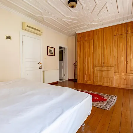 别墅 Spacious Single Detached House With Terrace - Near To Hagia Sophia 伊斯坦布尔
