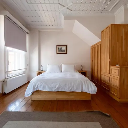 Spacious Single Detached House With Terrace - Near To Hagia Sophia