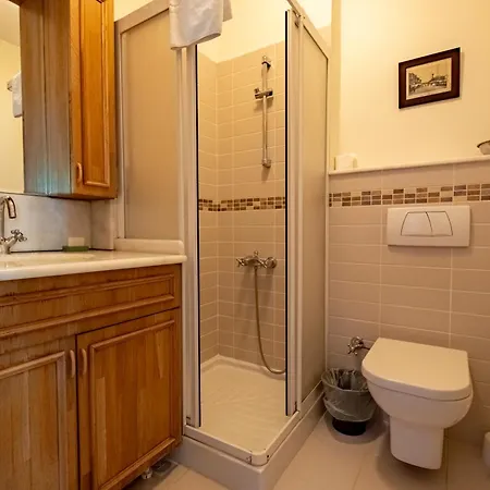 Spacious Single Detached House With Terrace - Near To Hagia Sophia *