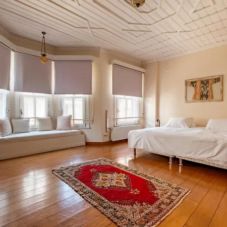 Spacious Single Detached House With Terrace - Near To Hagia Sophia *
