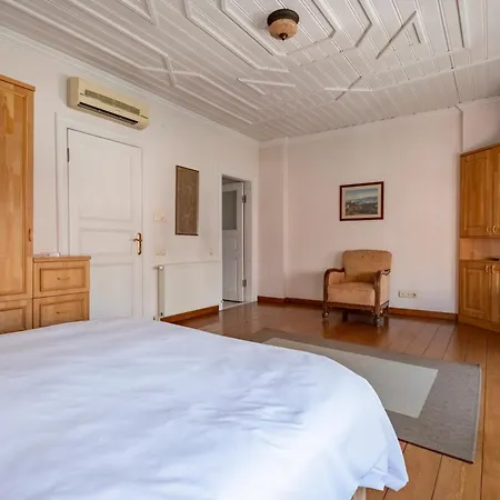 Villa Spacious Single Detached House With Terrace - Near To Hagia Sophia Istanbul